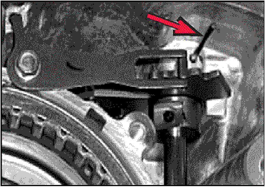 520065657_graphic-text252